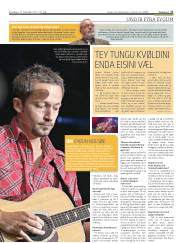 Síða 17