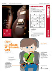 Síða 22