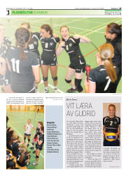 Síða 29