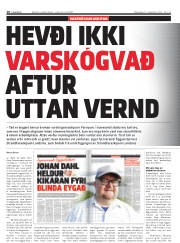 Síða 10