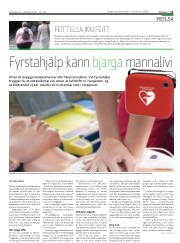 Síða 13