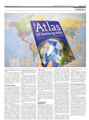 Síða 17