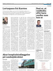 Síða 19