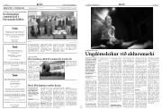 Síða 8