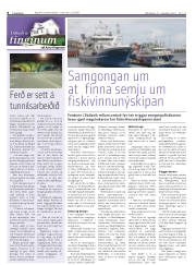 Síða 8