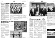 Síða 17