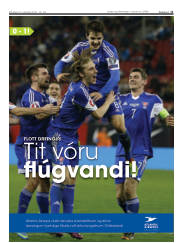 Síða 11
