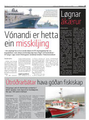 Síða 19