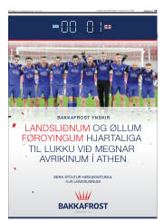 Síða 29