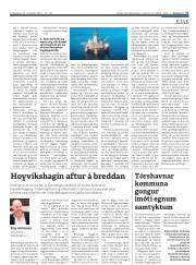 Síða 17