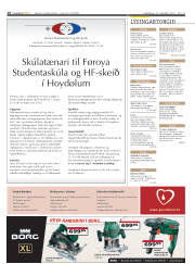 Síða 18