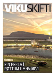 Síða 25
