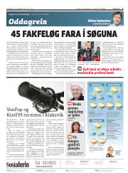 Síða 2