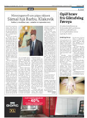 Síða 13