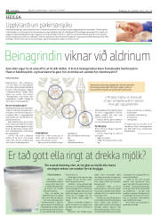 Síða 14