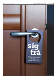 Síða 19