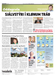 Síða 2