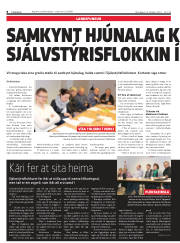 Síða 8