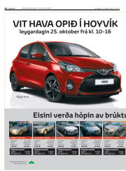 Síða 10