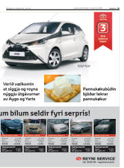Síða 11
