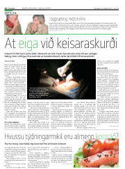 Síða 12