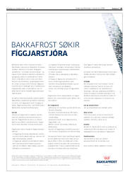 Síða 13