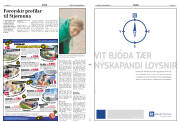 Síða 11