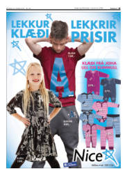 Síða 19
