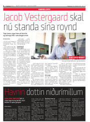 Síða 6