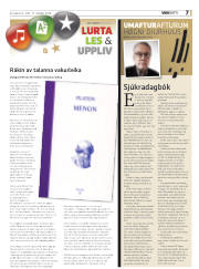 Síða 31