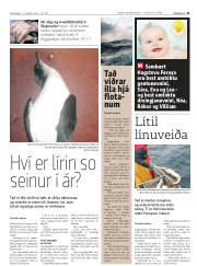 Síða 11