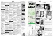 Síða 19