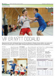 Síða 30