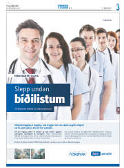 Síða 35