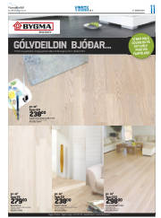 Síða 43