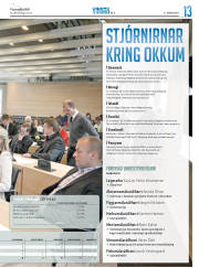 Síða 45