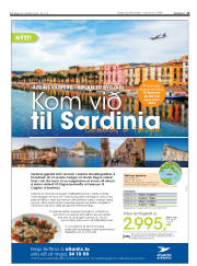 Síða 11