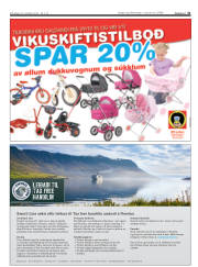 Síða 31