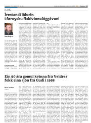 Síða 13