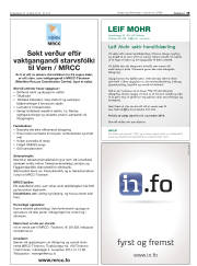 Síða 19