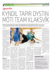 Síða 23