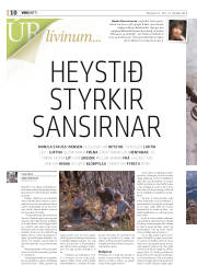 Síða 34