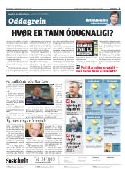 Síða 2
