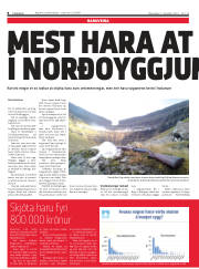 Síða 8