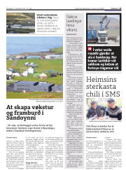 Síða 11