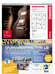 Síða 22