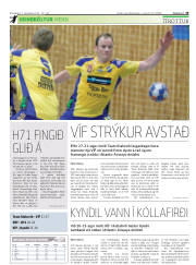 Síða 29