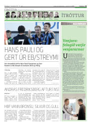 Síða 31