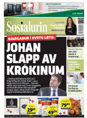 Síða 1