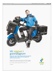 Síða 11
